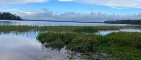 A natural landscape with a body of water, grassy areas, and distant trees under a cloudy sky.
