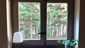A door with a view of a forest through a window.