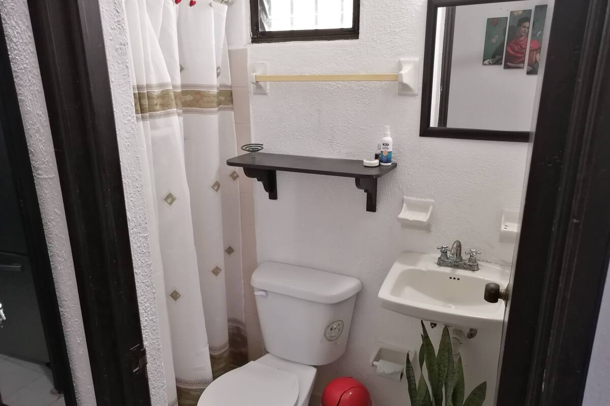 Basic Single Room | Bathroom