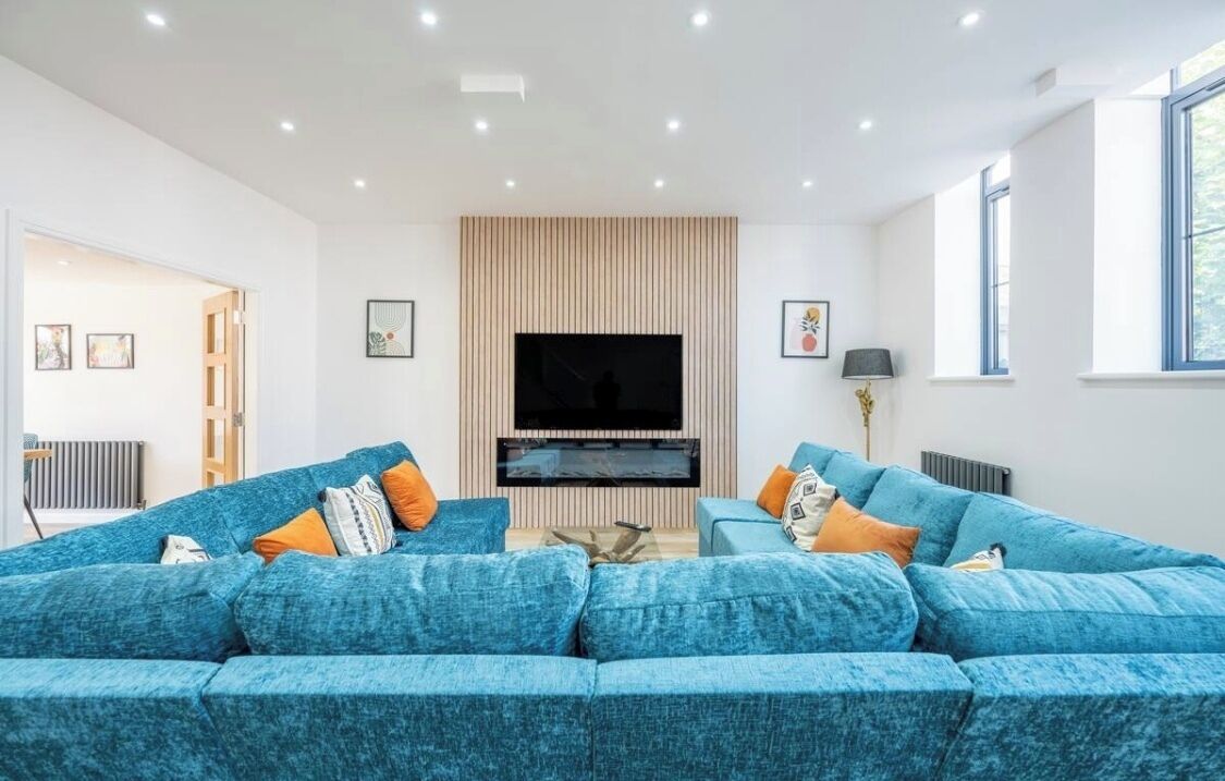Smart TV, fireplace, books