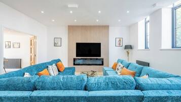 Smart TV, fireplace, books