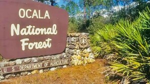 Skilt for Ocola National Forest med logoet for U.S. Department of Agriculture.