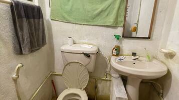 Douche, sĂšche-cheveux, bidet, serviettes fournies