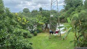 Property grounds - Bordering a large paddy field ( Non AC No WIFI - No Hot Water - No Room Service) (Malabe)