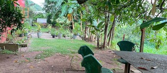 Bordering a large paddy field ( Non AC No WIFI - No Hot Water - No Room Service)