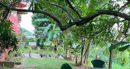 Bordering a large paddy field ( Non AC No WIFI - No Hot Water - No Room Service)