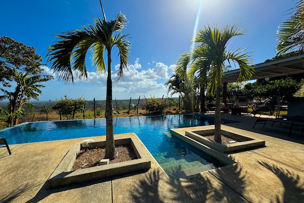 Outdoor pool, pool loungers