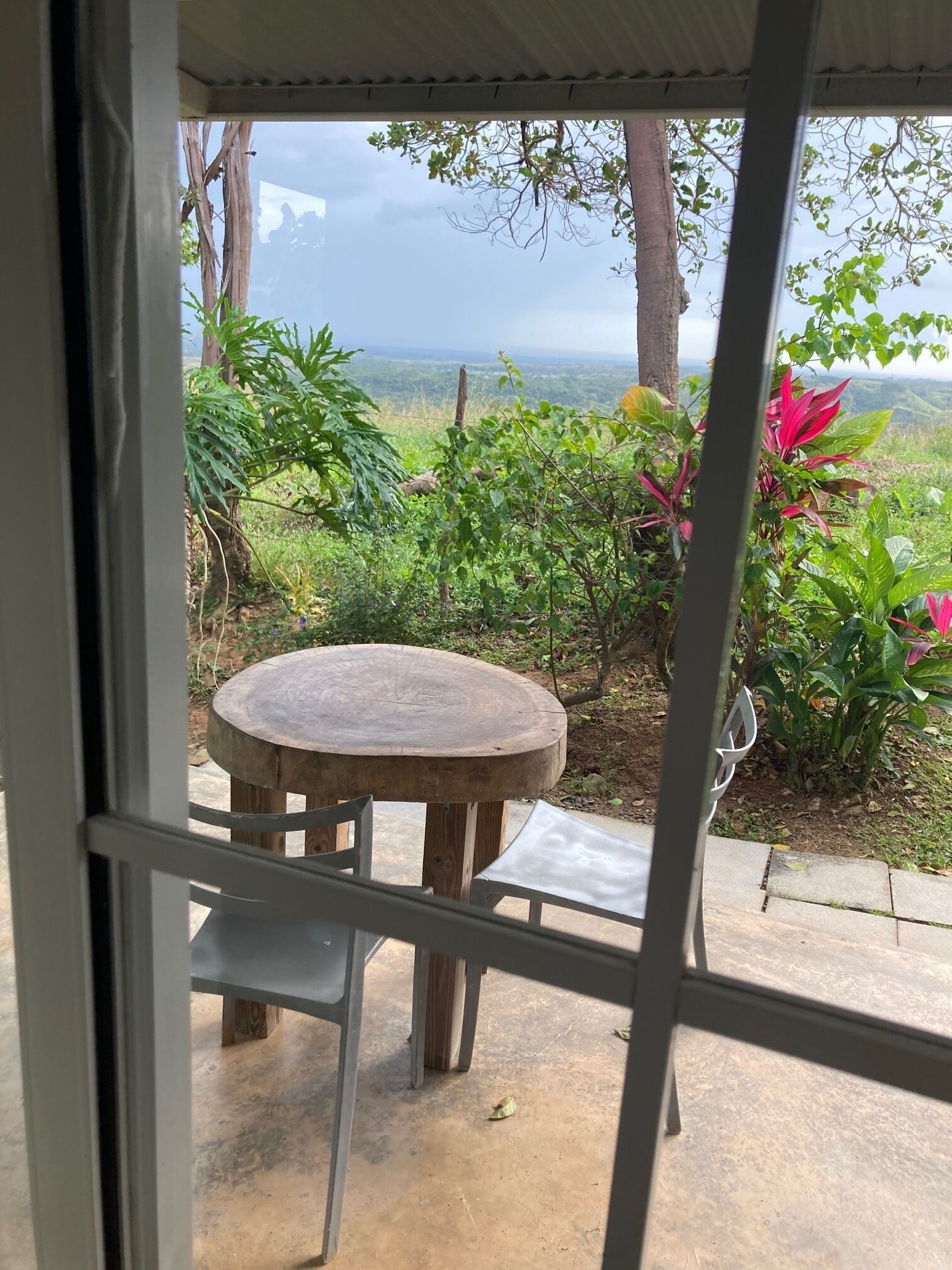 A view through a window with a round wooden table and chairs, surrounded by greenery and a fence.