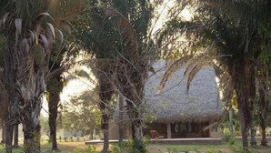 A thatched-roof building surrounded by tropical vegetation. - Savanna Orinoquia Lodge (Orocue)