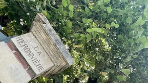 A stone structure with inscriptions, surrounded by lush greenery. - Maison Héronnière (Compiègne)