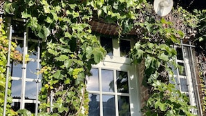 A white door with a window above it, partially covered by green ivy. - Maison Héronnière (Compiègne)