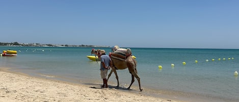 Nära stranden och solstolar