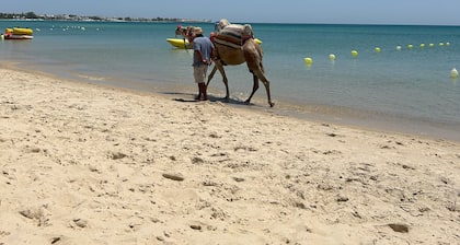 Villa a hammamet centre, 10 min a pied de la plage, piscine, climatisée, 4 ch