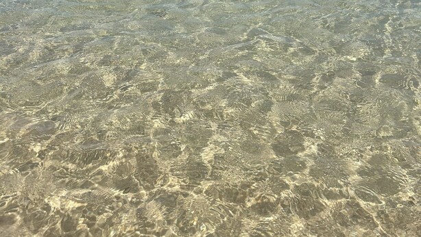 A clear view of a beach with shallow water, a distant horizon, and a person swimming. - Villa a Hammamet Centre, 300 Metre du Theatre, Piscine, Climatisée, 4 Chambre (Hammamet)