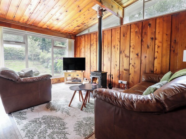 Living area - Chalet 2 (Machynlleth)