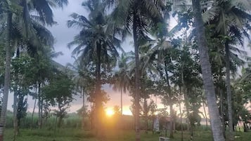 Área da propriedade
