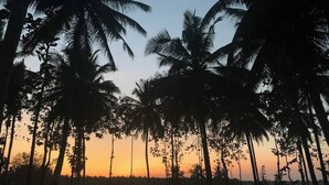 A sunset view with palm trees silhouetted against the sky. - Kabini Earthern Cottages Lakeside Farmstay
 (Holehundi)