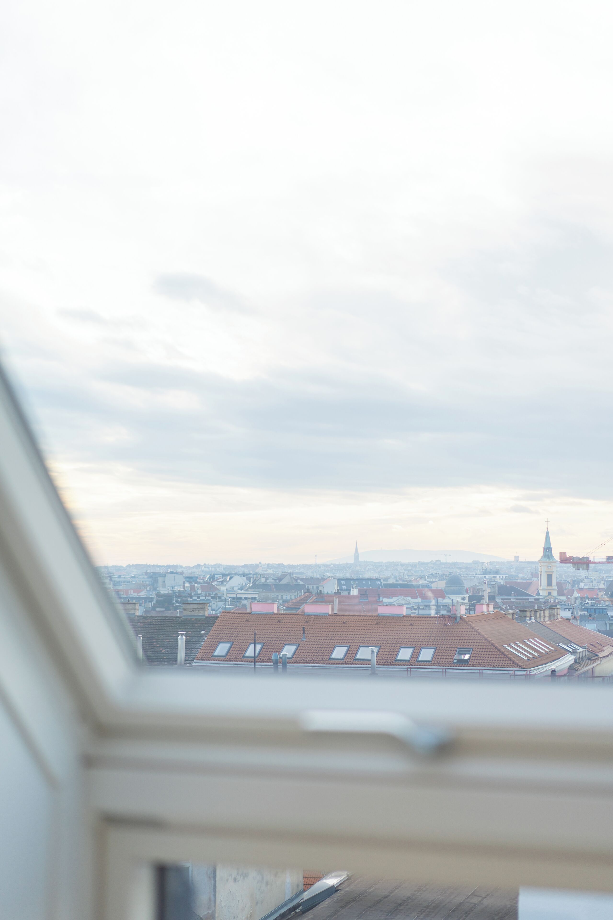 全景頂樓客房 (Penthouse Dream above Vienna) | 客房景觀