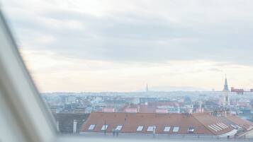 Panoramic Penthouse | View from room