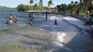 Una spiaggia con persone che nuotano e si rilassano nell'acqua, circondata da palme e un cielo sereno.