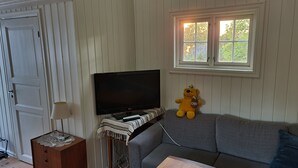 Un salon avec un canapé gris, un téléviseur, un ours en peluche et une fenêtre donnant sur un paysage verdoyant.