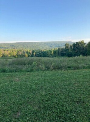 Property grounds - Tiny cabin with privacy, comfort and mt views
 (Kerhonkson)