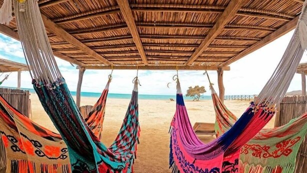 Un cabanon de plage avec un toit de chaume, plusieurs hamacs et une vue sur la plage et l’océan.