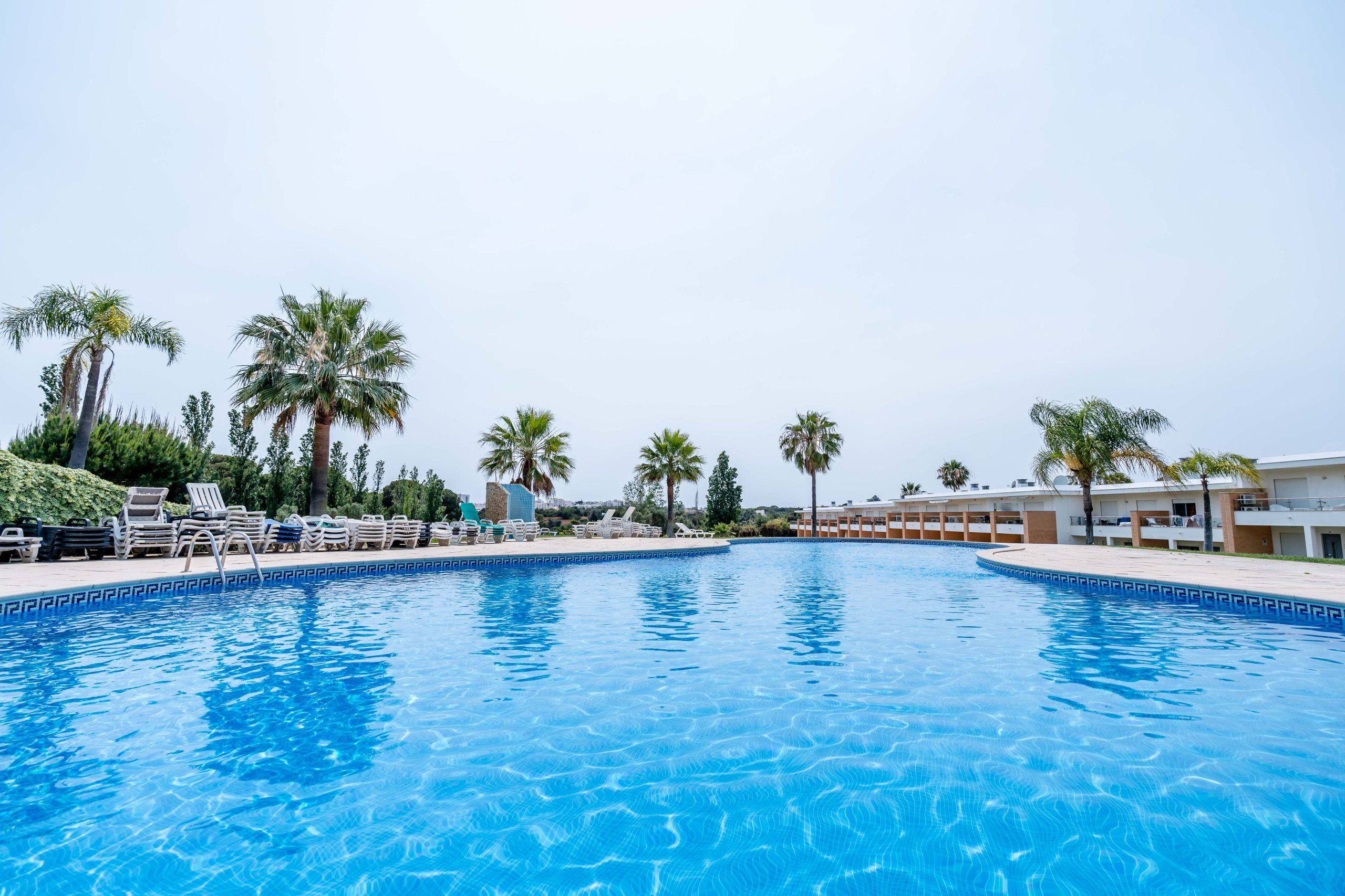 A swimming pool with lounge chairs and palm trees.