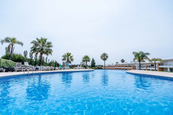 A swimming pool with lounge chairs and palm trees.
