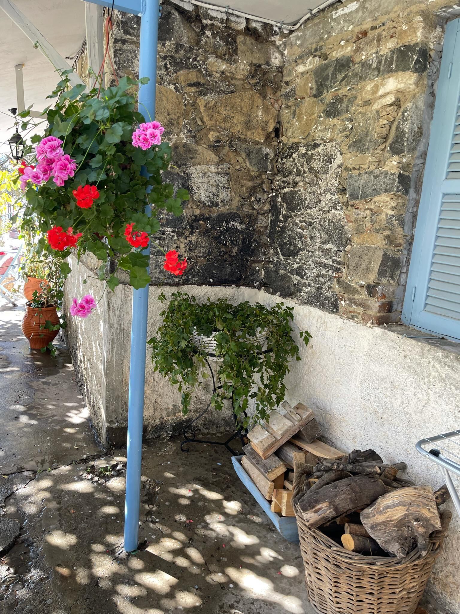 A stone wall with a blue door, a potted plant with pink flowers, and a stack of firewood.