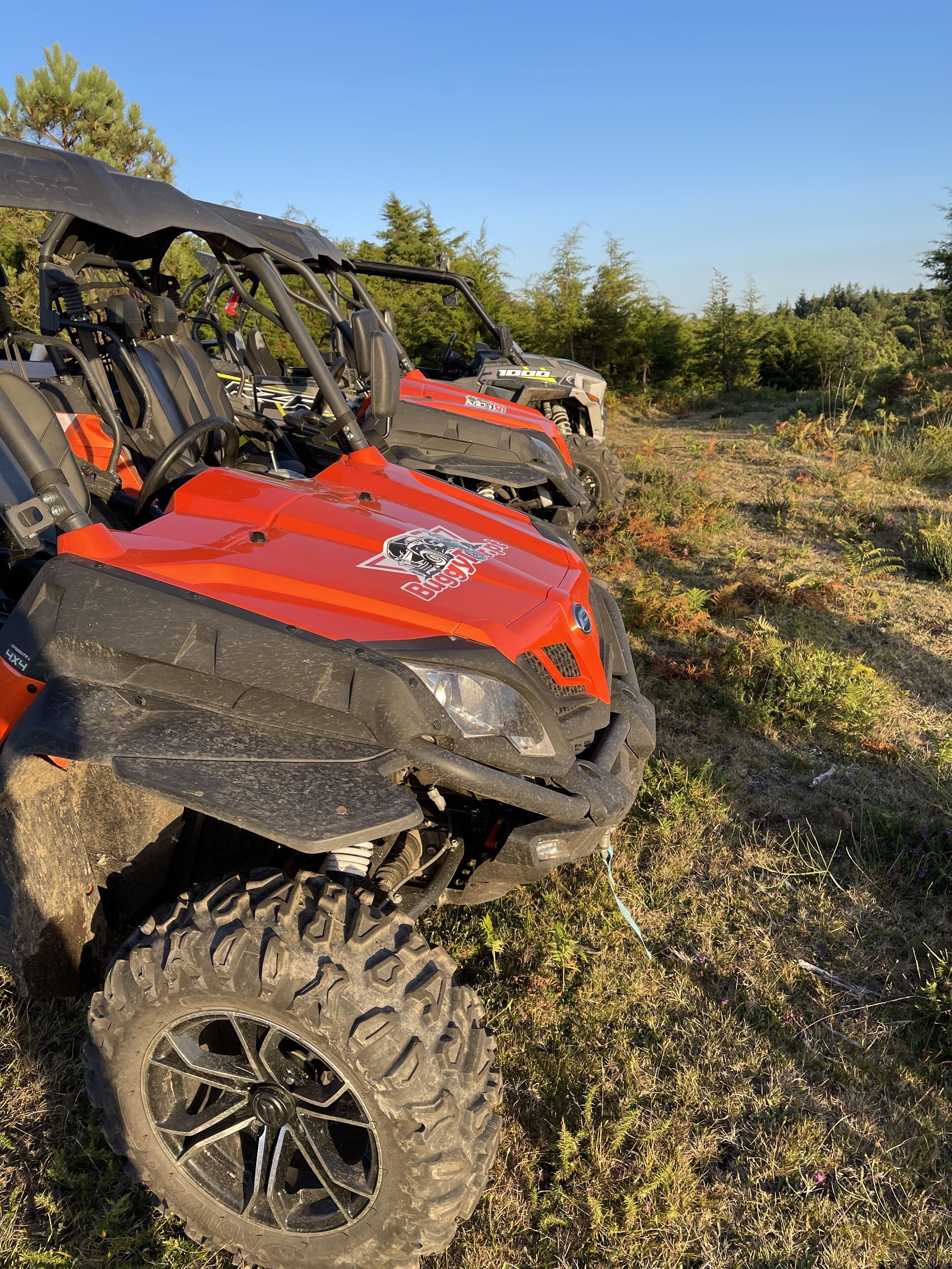 Un quad rouge orné d’un logo, garé sur un champ herbeux, avec des arbres en arrière-plan.