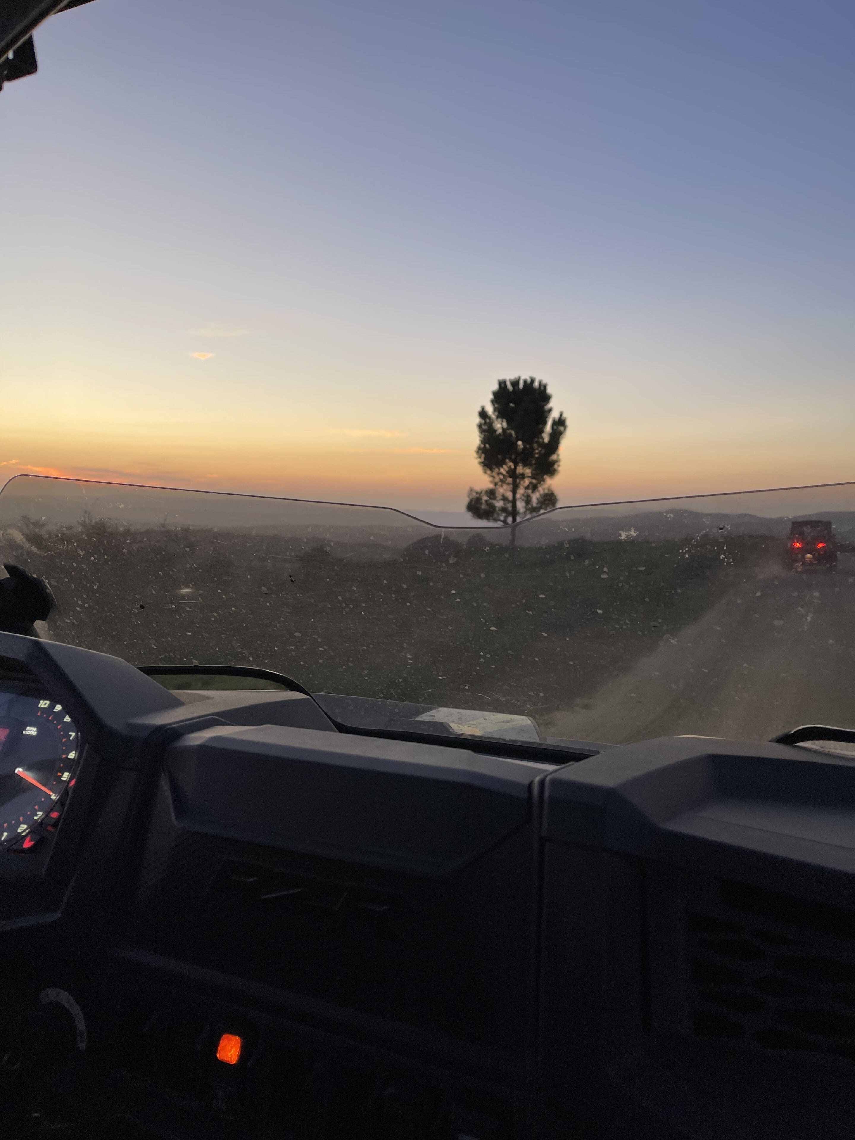 A dashboard view with a road ahead, a tree, and a vehicle in the distance.