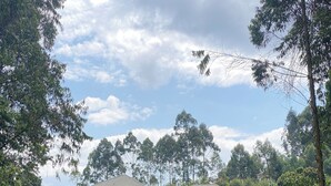 A two-story house with a balcony, surrounded by lush greenery and a dirt path. - The Fortuna Hotel and Cafe (Kabale)