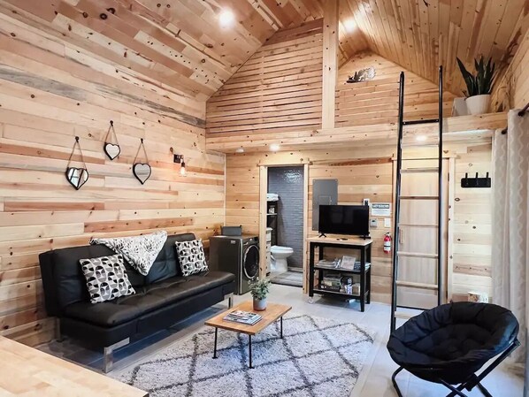 Téléviseur connecté, livres