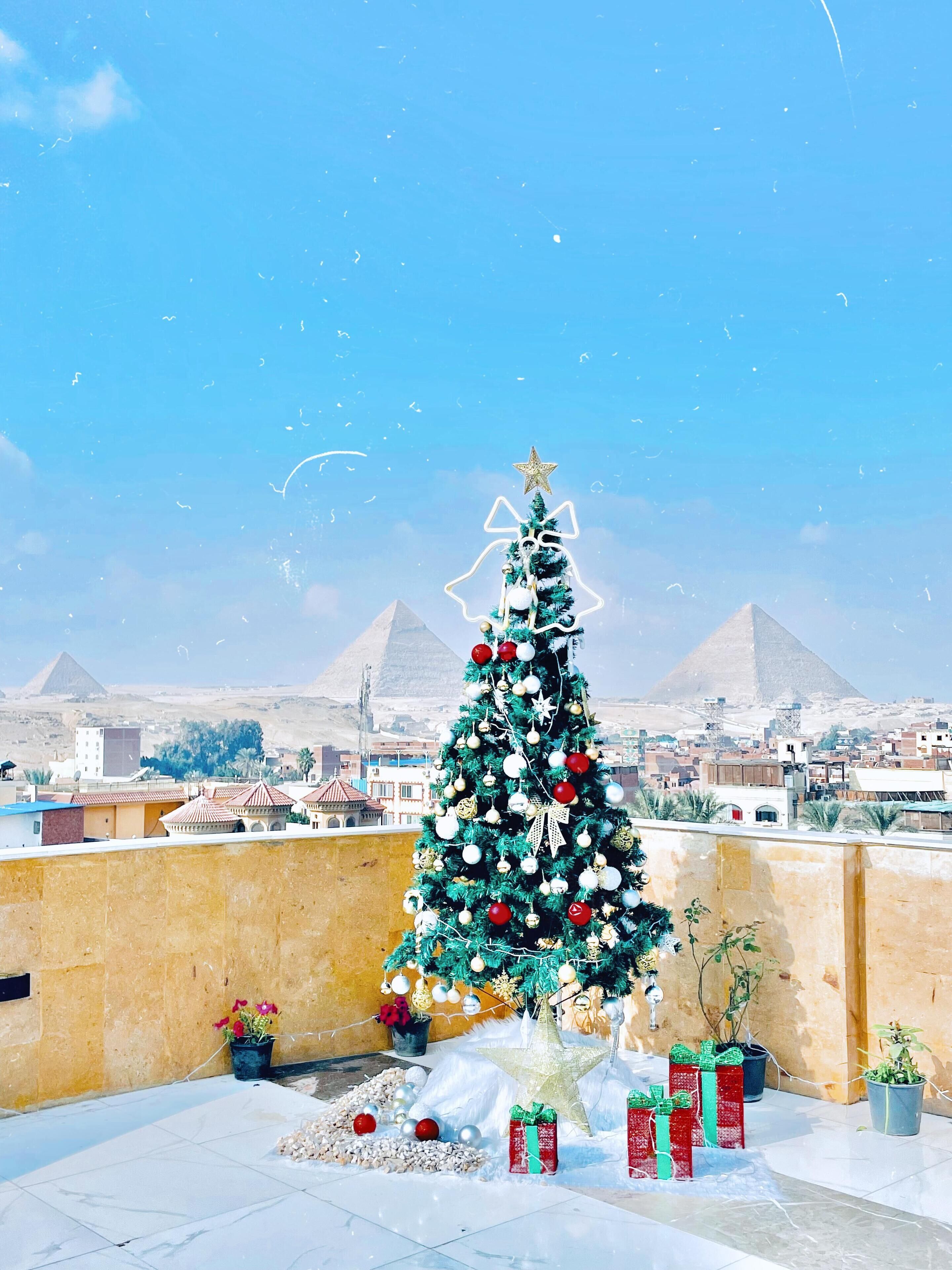 Foto - Palm Pyramids