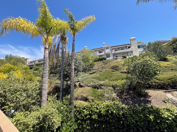Property grounds - Retreat Laguna Lux Loft Close to EVERYTHING (Laguna Niguel)