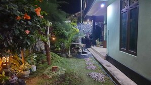 Un jardin bien entretenu, avec différentes espèces de plantes et un chemin menant à un bâtiment.
