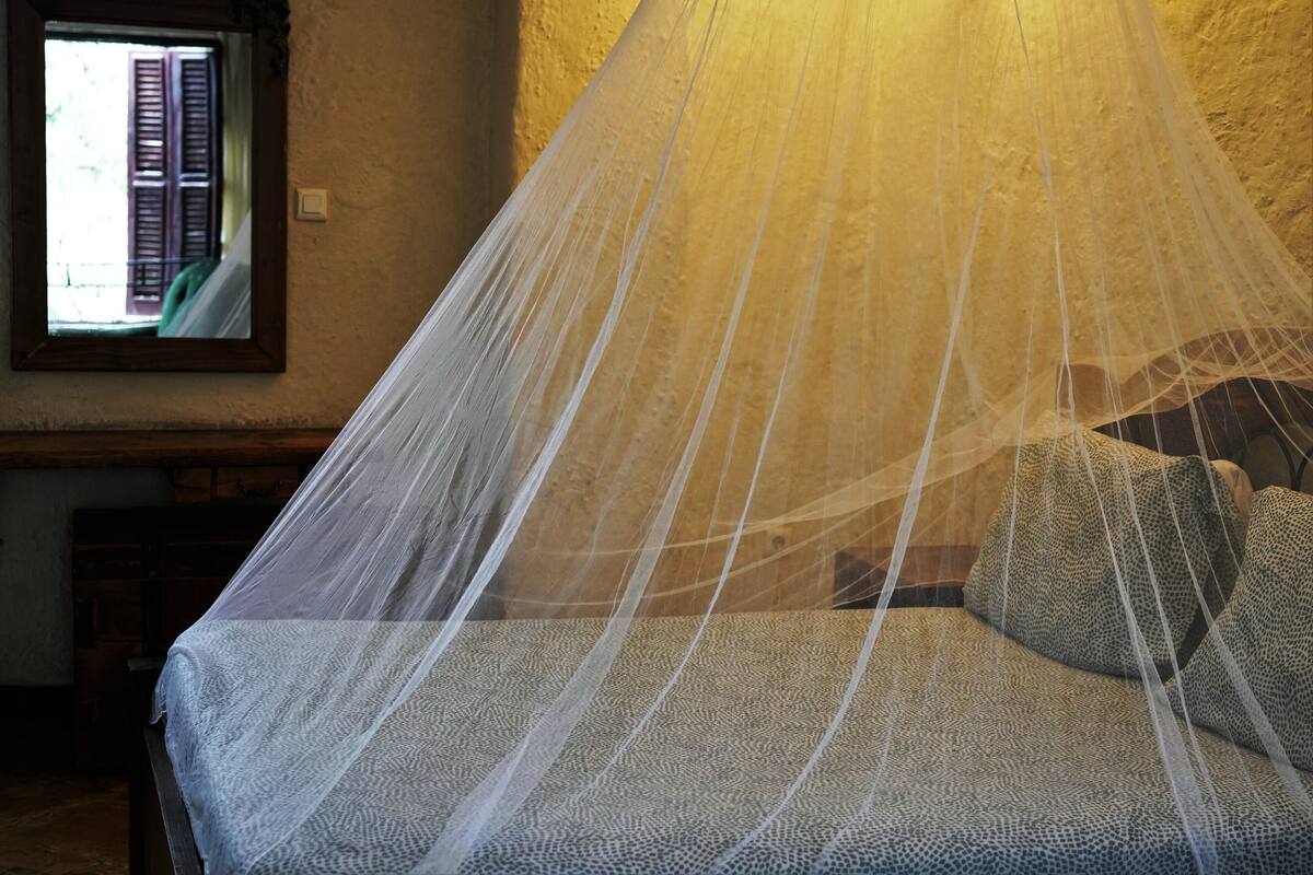 A bed with a white bedspread and pillows, a wooden headboard, and a window with closed shutters.