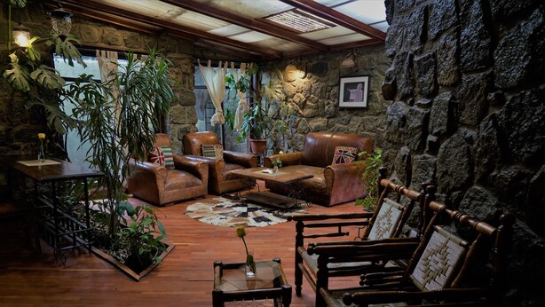 Un'accogliente area relax con divani in pelle, un tavolino da caffè e piante in vaso.