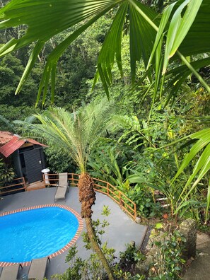 A pool surrounded by lush greenery and a small structure with a red roof.