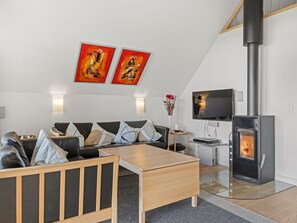 TV, fireplace, DVD player