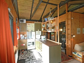 Una cocina compacta con paredes de madera, una isla central y un tapete estampado con diseño de cebra.