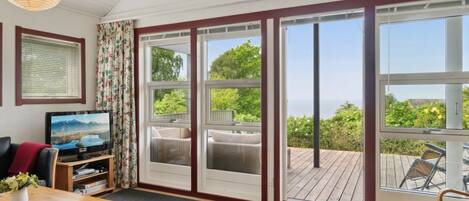 TV, fireplace, DVD player