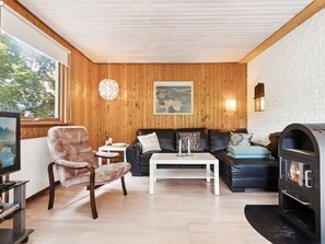 TV, fireplace, DVD player