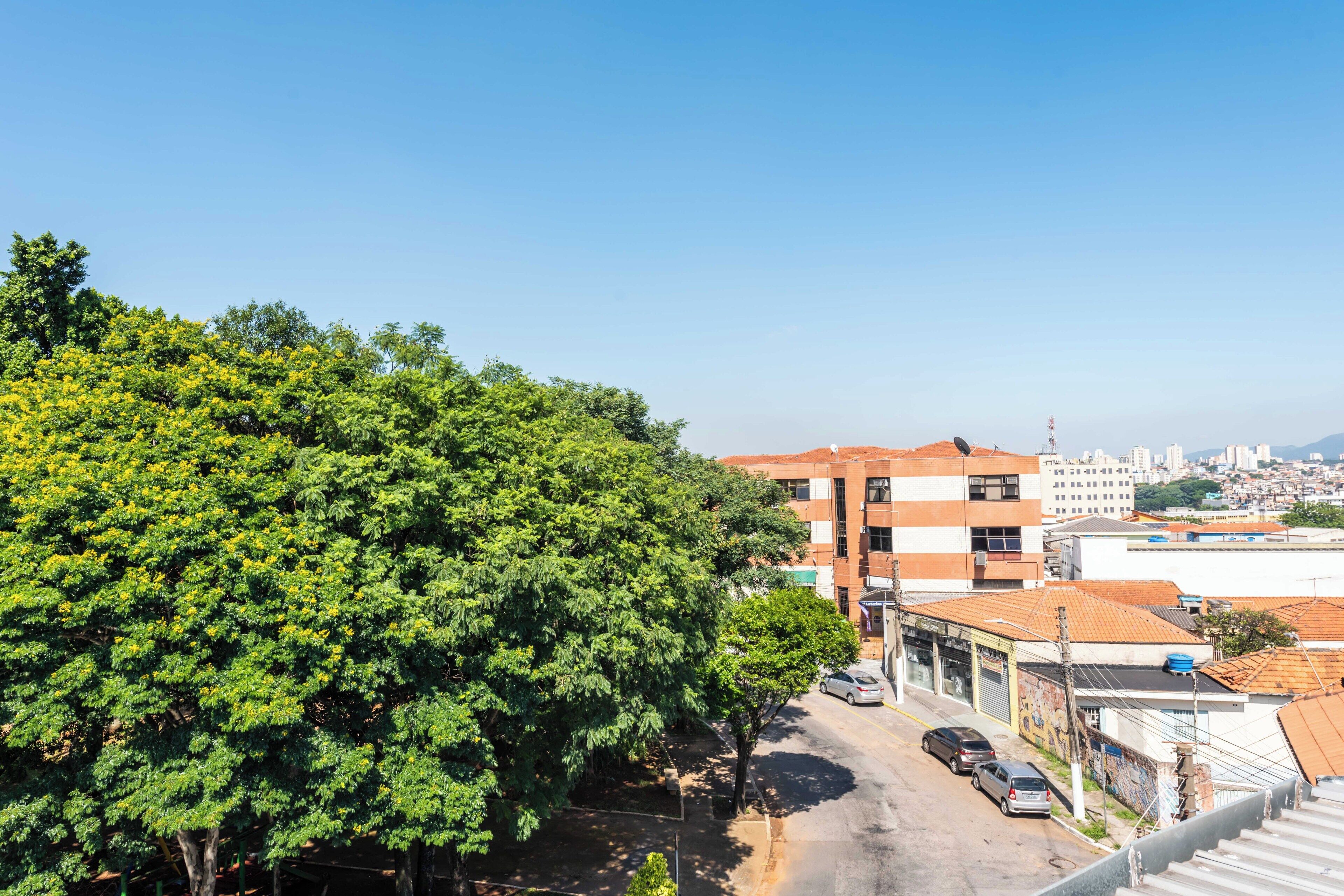 Vista de la calle con un árbol grande, edificios y coches aparcados.