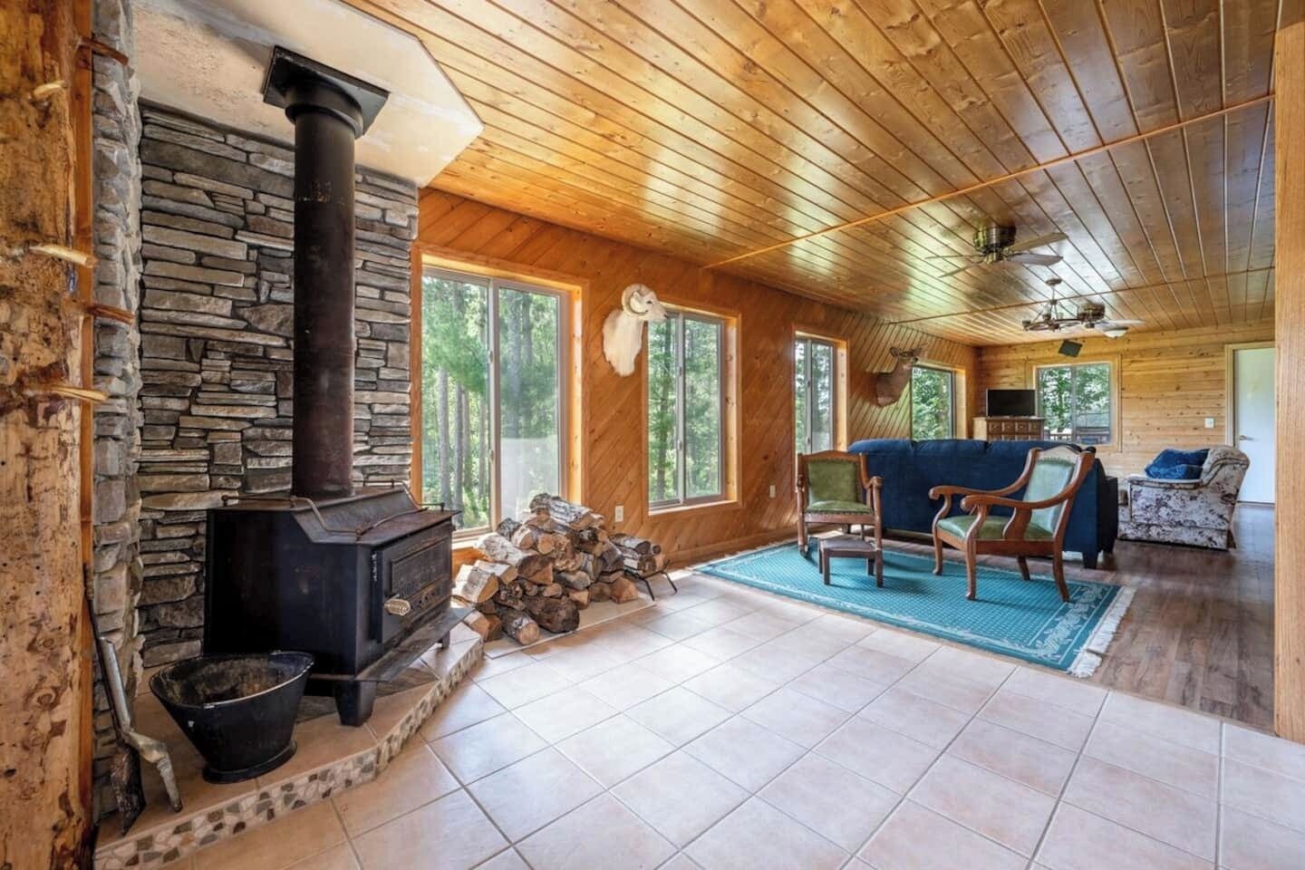 TV, fireplace, DVD player