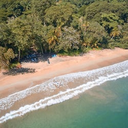 Escape to a serene beachside haven with gentle waves and lush forest surroundings.