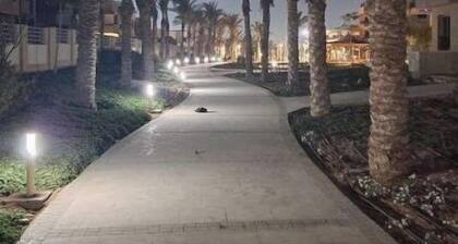 Near airport, brand-new, gated