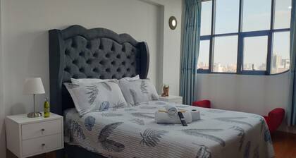 Zona céntrica Lima Histórica