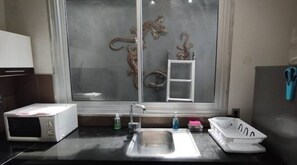 Kitchen features a stainless steel sink, microwave, and ample counter space.